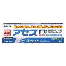 아세스 치약 (상쾌한민트)160g